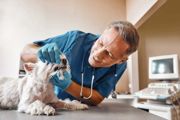 Best Emergency Tooth Extraction in Port Aransas, TX